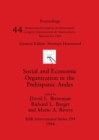Social and Economic Organization in the Prehispanic Andes - Book