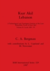 Ksar Akil, Lebanon : A Technological and Typological Analysis of the Later Palaeolithic Levels of Ksar Akil, Volume II: Levels XIII - VI - Book
