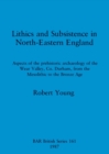 Lithics and Subsistence in North-eastern England : Aspects of the prehistoric archaeology of the Wear Valley, Co. Durham, from the Mesolithic to the Bronze Age - Book