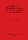 Spatial patterns in Magdalenian open air sites from the Isle valley, southwestern France - Book