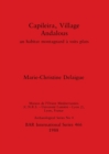 Capileira, Village Andalous : un habitat montagnard a toits plats - Book