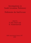 Investigations in South Levantine Prehistory - Book