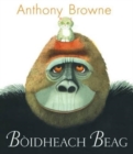 Boidheach Beag - Book
