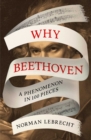 Why Beethoven : A Phenomenon in 100 Pieces - eBook