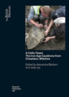 A Celtic Feast : The Iron Age Cauldrons from Chiseldon, Wiltshire - Book