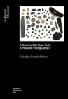 A Riverine Site Near York : A Possible Viking Camp? - Book