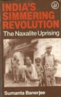 India's Simmering Revolution - Book