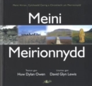 Meini Meirionnydd - Book
