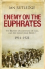 Enemy on the Euphrates : The British Occupation of Iraq and the Great Arab Revolt, 1914-1921 - eBook