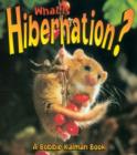 What is Hibernation - Book