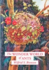 The Wonder World of Ants - Book