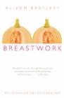 Breastwork : Rethinking breastfeeding - Book