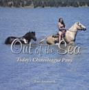 Out of the Sea, Today’s Chincoteague Pony - Book