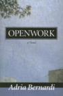 Openwork : A Novel - Book