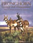 Pronghorn : Ecology & Mangemt: Ecology and Management - Book