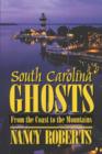 South Carolina Ghosts : From the Coast to the Mountains - Book