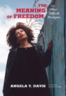 The Meaning of Freedom : And Other Difficult Dialogues - Book