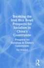 Breaking the Iron Rice Bowl : Prospects for Socialism in China's Countryside - Book
