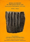 Rural Economy in the Early Iron Age : Excavations at Hascherkeller, 1978-1981 - Book