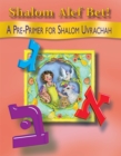 Shalom Alef Bet - Book