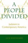 A People Divided - Book