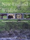 New England Wildlife - Book