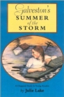 Galveston's Summer of the Storm - Book