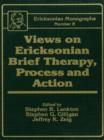 Views On Ericksonian Brief Therapy - Book