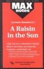 MAXnotes Literature Guides: Raisin in the Sun - Book