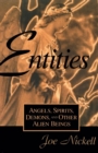 Entities - Book