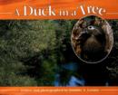 Duck in a Tree - Book