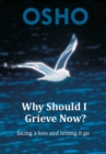 Why Should I Grieve Now? : facing a loss and letting it go - eBook