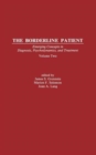 The Borderline Patient : Emerging Concepts in Diagnosis, Psychodynamics, and Treatment - Book