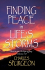 Finding Peace in Life's Storms - Book