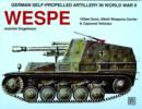 German Self-Propelled Artillery in WWII : Wespe - Book