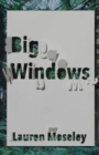 Big Windows - Book