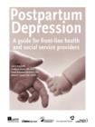 Postpartum Depression : A Guide for Front-Line Health and Social Service Providers - Book