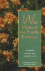 Wild Plants of the Pueblo Province : Exploring Ancient & Enduring Uses - Book