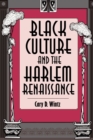 Black Culture and the Harlem Renaissance - Book