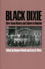 Black Dixie: Afro-Texan History and Culture in Houston - Book