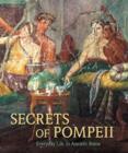 Secrets of Pompeii - Everyday Life in Ancient Rome - Book