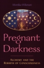 The Pregnant Darkness : Alchemy and the Rebirth of Consciousness - eBook