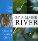By a Maine River : A Year of Looking Closely - Book