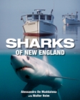 Sharks of New England - eBook