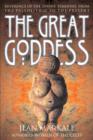 The Great Goddess : Reverence of the Divine Feminine from the Paleolithic to the Present - Book