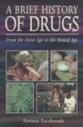 A Brief History of Drugs : From the Stone Age to the Stoned Age - Book
