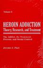 Heroin Addiction v. 2; The Addict, the Treatment Process, and Social Control : Theory, Research and Treatment - Book