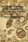 Molecular Pathology of Nerve and Muscle : Noxious Agents and Genetic Lesions - Book