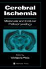 Cerebral Ischemia : Molecular and Cellular Pathophysiology - Book