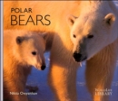 Polar Bears - Book